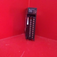 IC693ALG442